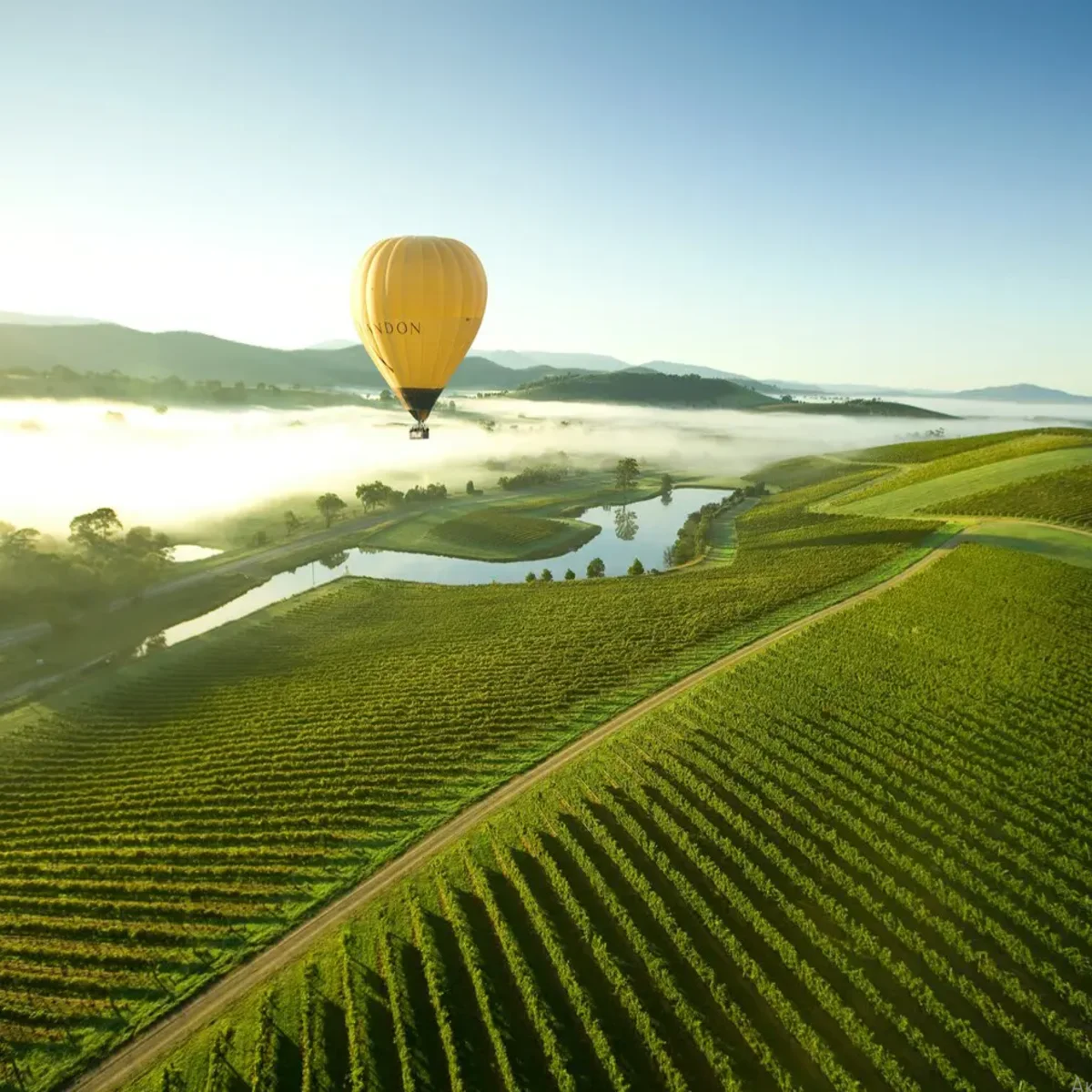 Yarra Valley tours from Melbourne