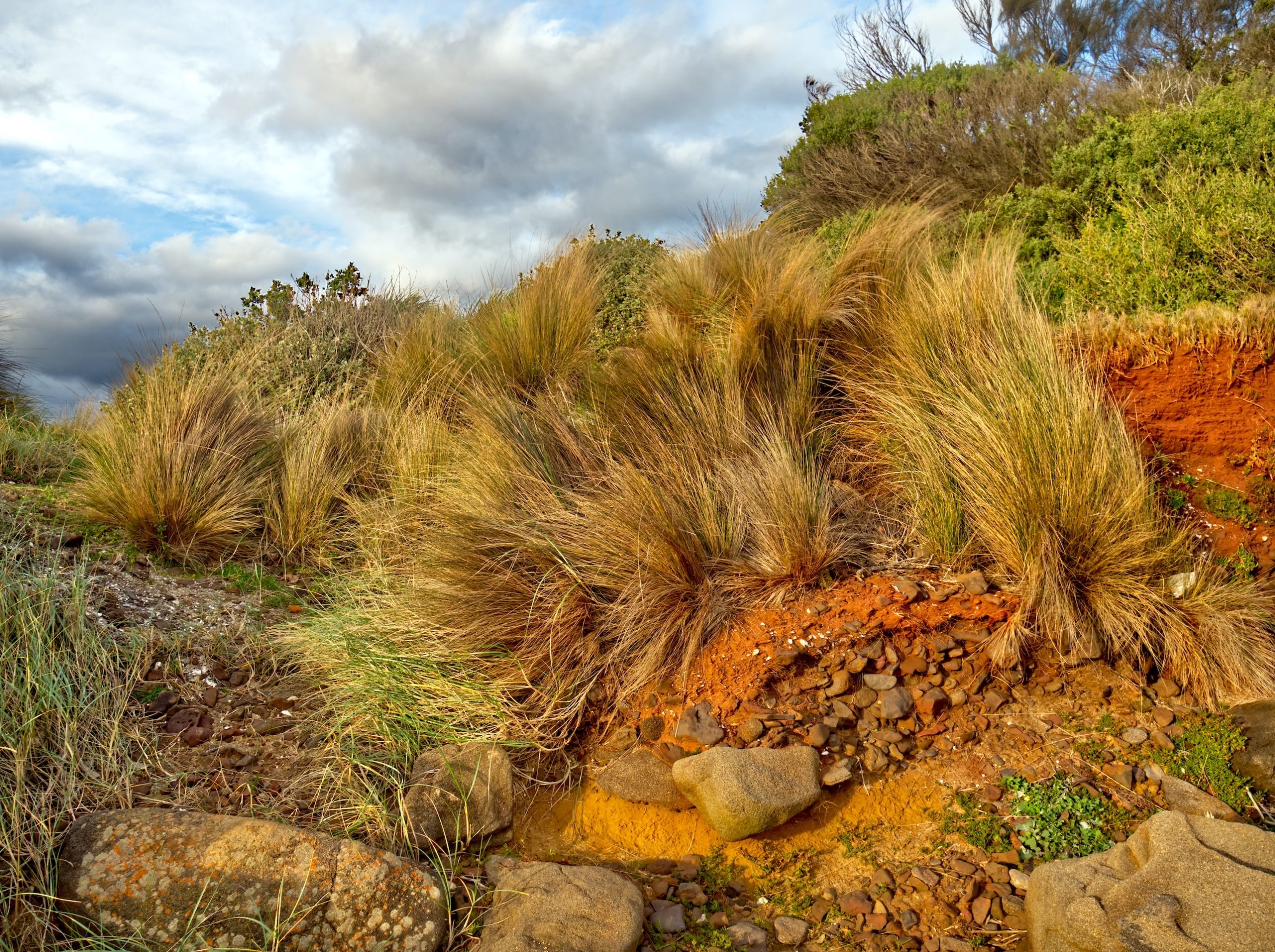 Can you do Great Ocean Road in 1 day?