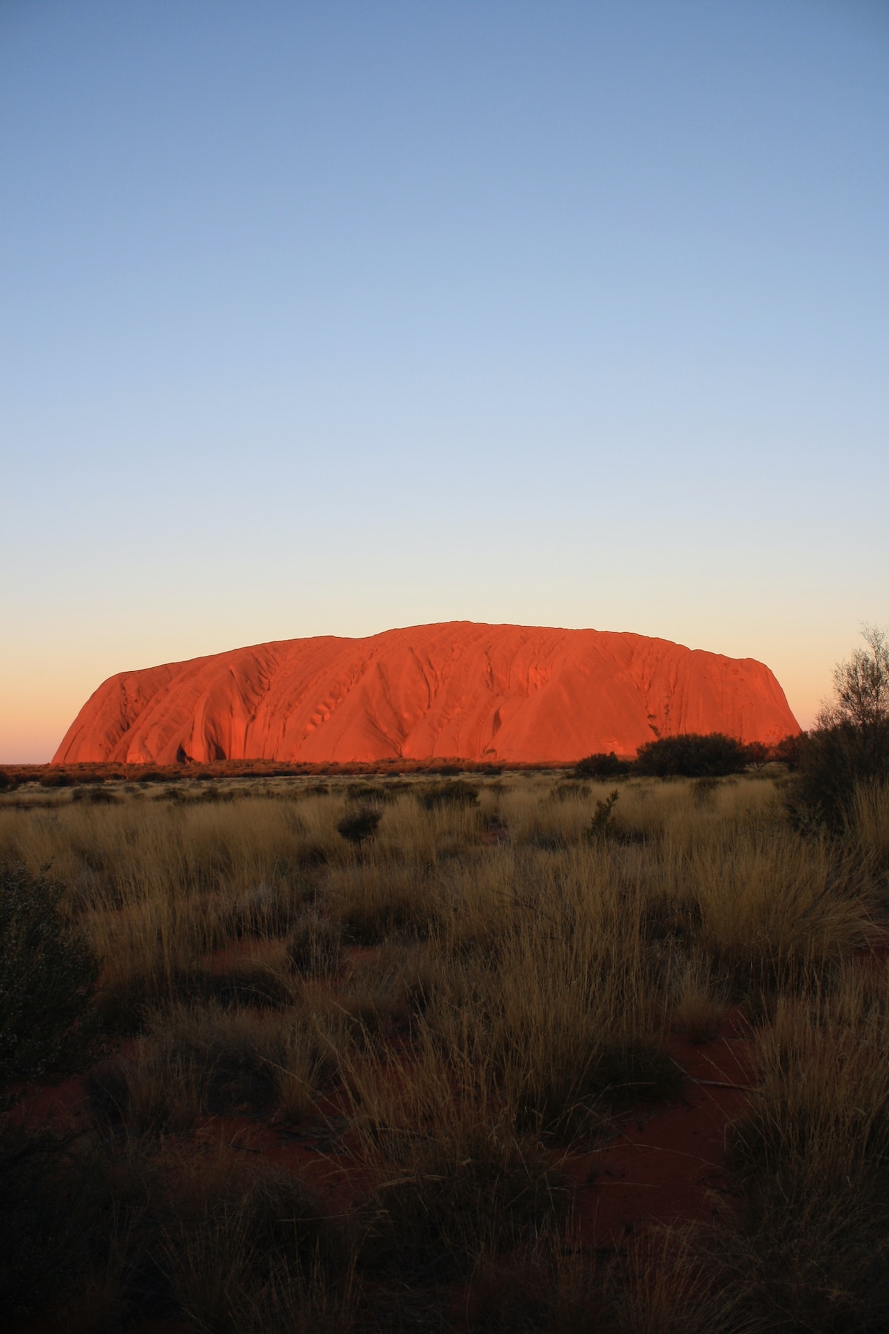 Are there snakes in the Grampians?