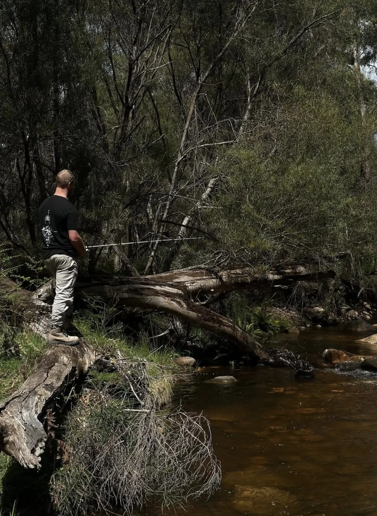 Abseiling Grampians