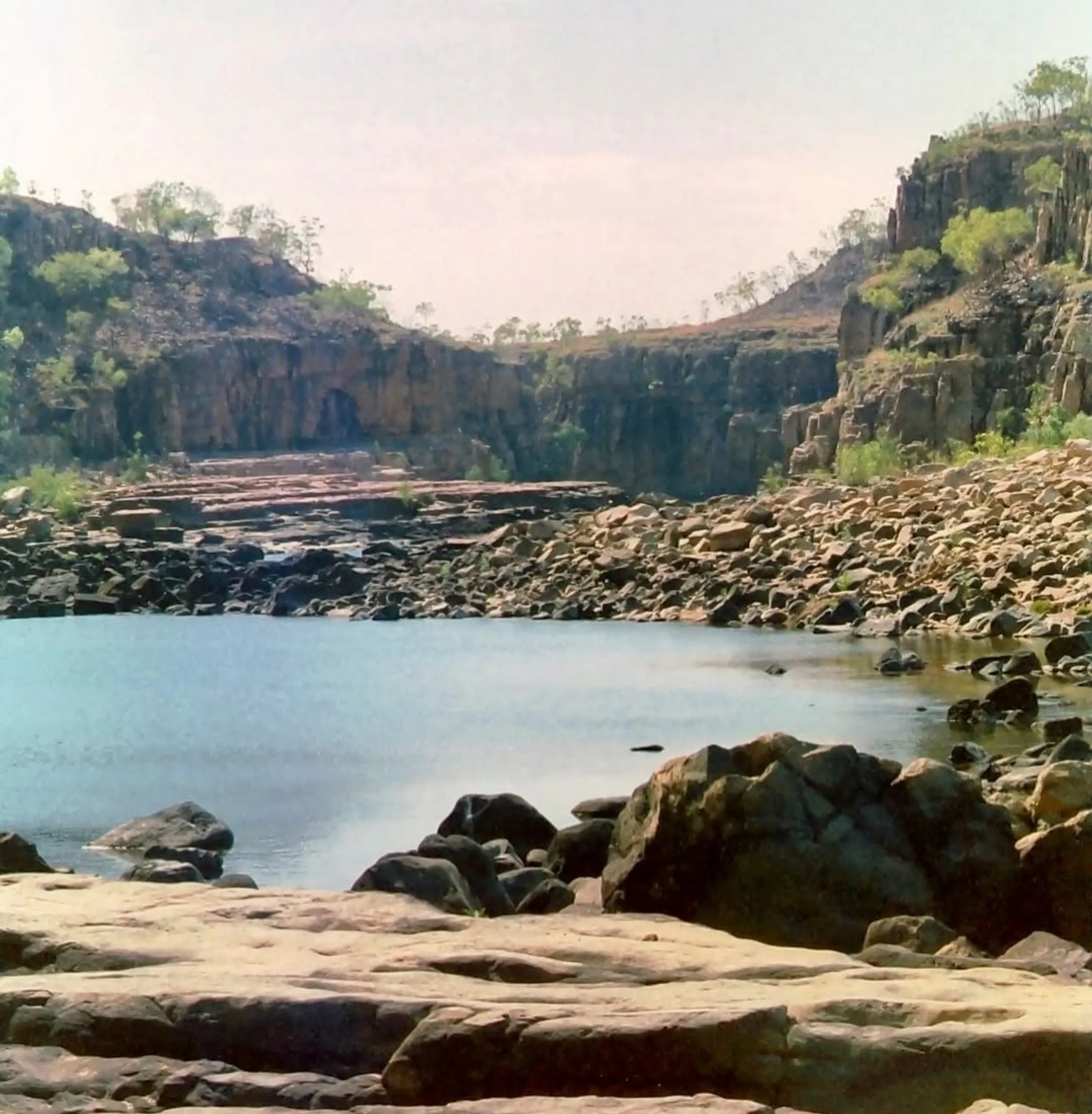 safari camp