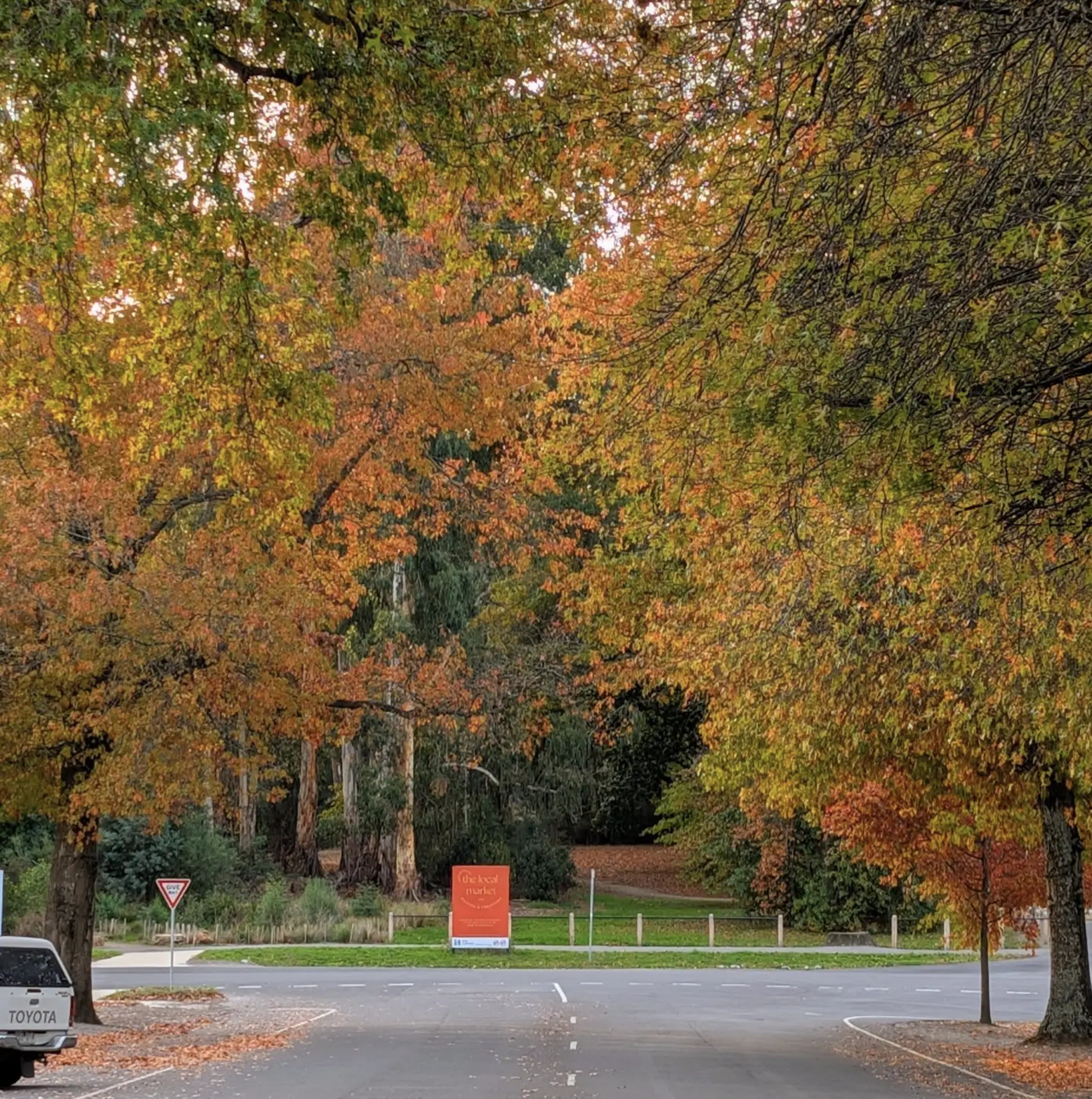 Melbourne to Yarra Valley