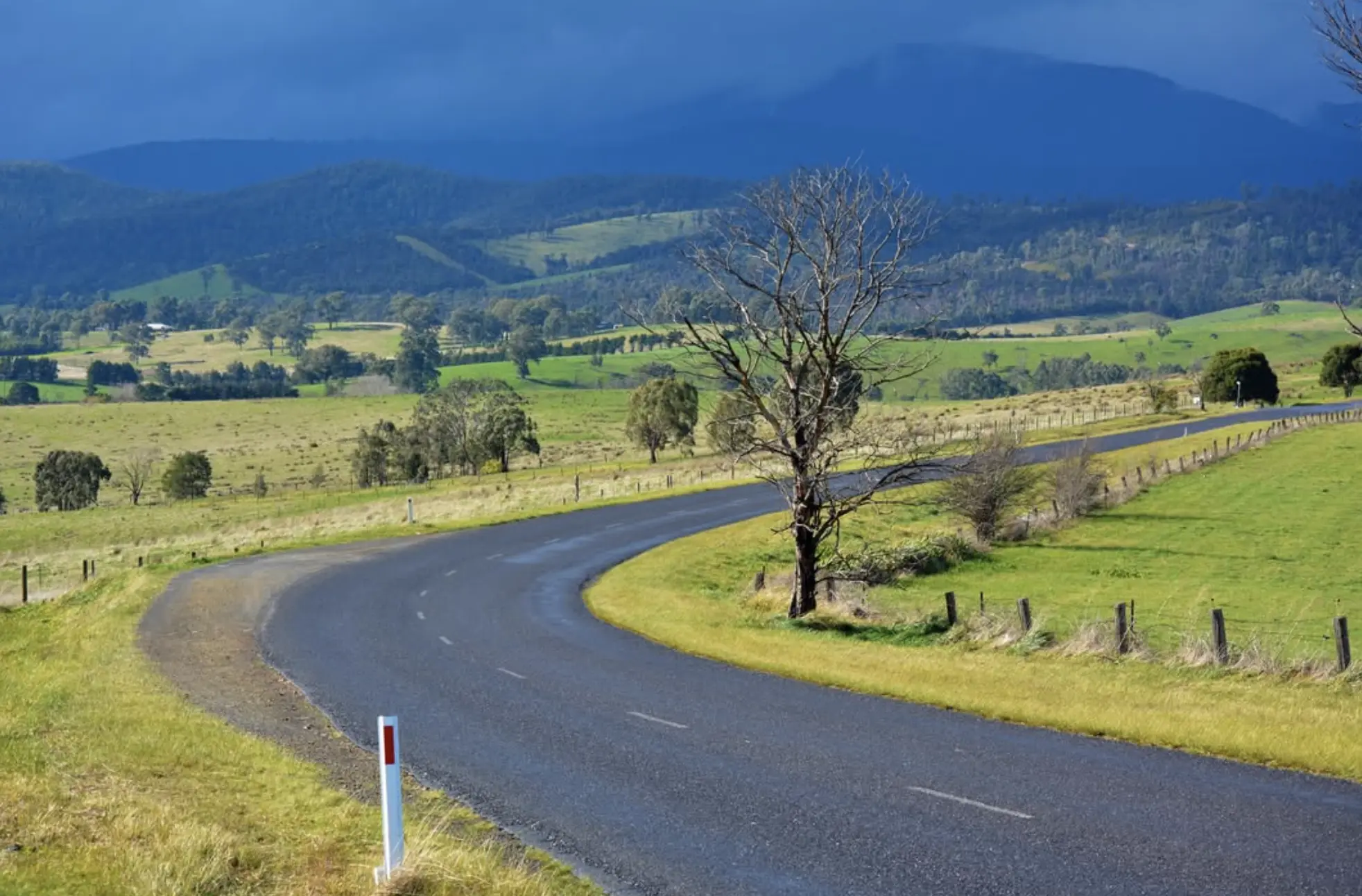 Yarra Valley wine tour