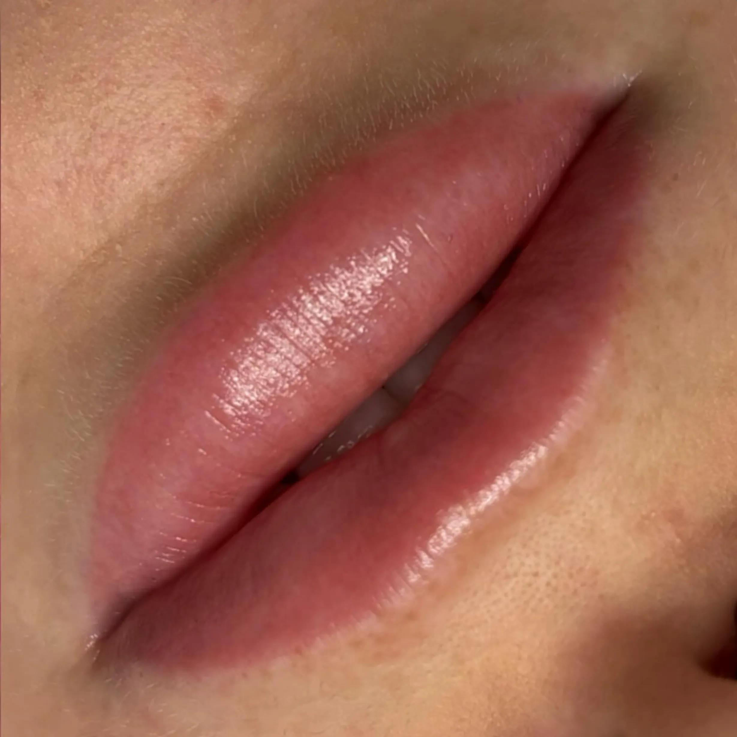 lip blush fading timeline